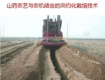 山藥農藝與農機結合的簡約化栽培技術