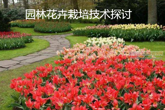 園林花卉栽培技術探討