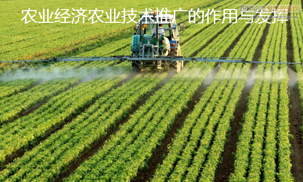 農業經濟農業技術推廣的作用與發揮