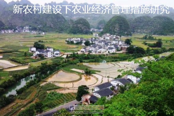 新農村建設下農業經濟管理措施研究