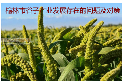 榆林市谷子產業發展存在的問題及對策
