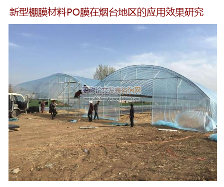 新型棚膜材料PO膜在煙臺地區的應用效果研究