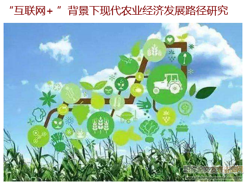 “互聯網+ ”背景下現代農業經濟發展路徑研究