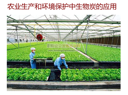 農(nóng)業(yè)生產(chǎn)和環(huán)境保護中生物炭的應(yīng)用