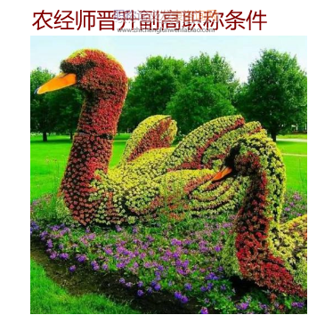農經師晉升副高職稱條件
