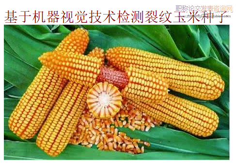 基于機器視覺技術檢測裂紋玉米種子