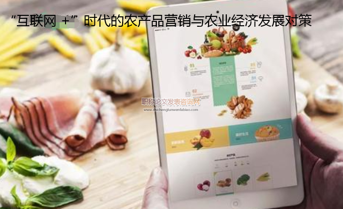 “互聯網 +”時代的農產品營銷與農業經濟發展對策