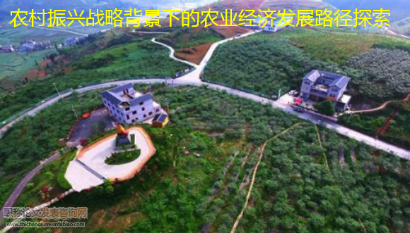 農村振興倡議背景下的農業(yè)經(jīng)濟發(fā)展路徑探索