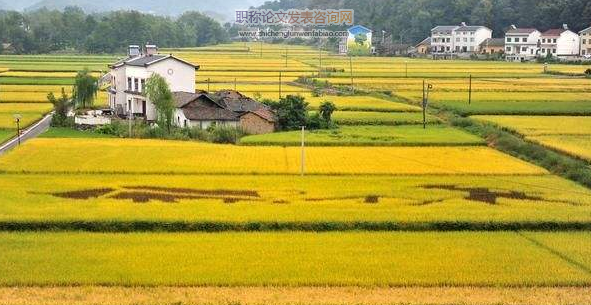 生態農業對農業經濟發展的影響