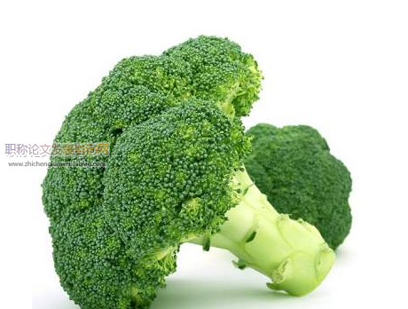 學習西蘭花表型快速提取方法研究