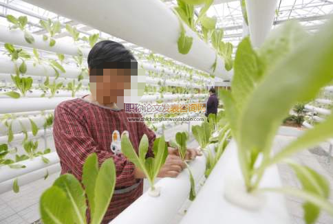 淺析農業科技對農業發展的影響