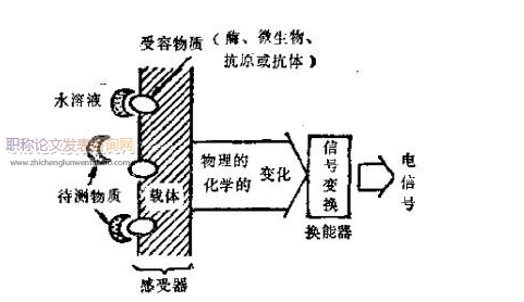生物傳感器方面的論文發表指導