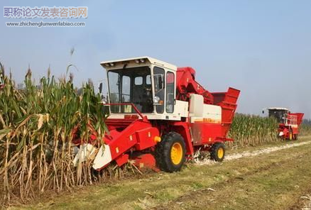 高緯寒地適于機械化收獲的玉米品種篩選