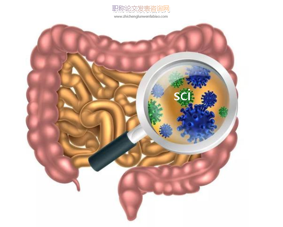 腸道微生物相關(guān)sci雜志