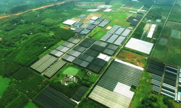農村產業創新發展機制探究