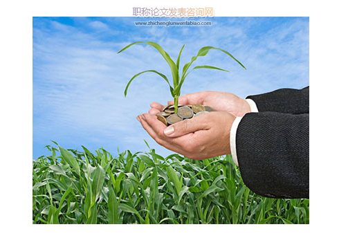 供給側改革背景下農業互聯網+發展研究