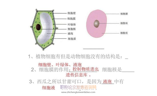如何培養(yǎng)初中生生物學(xué)習(xí)的興趣