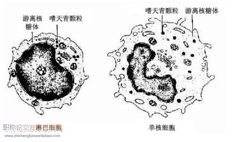 超微結構論文發表