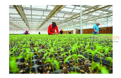 淺析新技術在農業種植生產中的應用