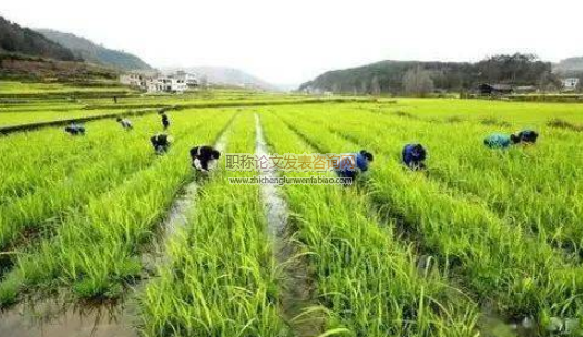 農村產業振興面臨的問題及對策