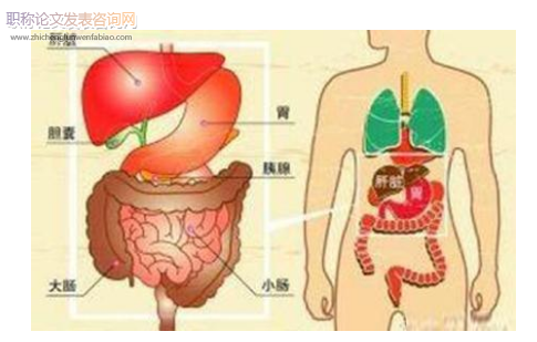 寫急性胰腺炎的論文發(fā)表期刊