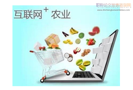 “互聯(lián)網(wǎng)+農(nóng)業(yè)”模式下“瓊枝”包裝銷售研究