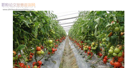 反季節(jié)種植技術(shù)在園林綠化施工中的應(yīng)用