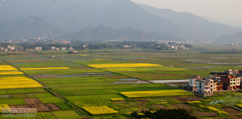 現(xiàn)行法規(guī)范下的農(nóng)村土地承包經(jīng)營權(quán)繼承問題分析