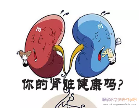健康社會學視角下的整體健康觀和健康管理