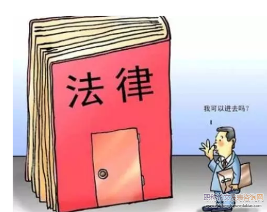 從市場經濟法律體系到民主政治法律體系:中國現代化進程中的法治命題