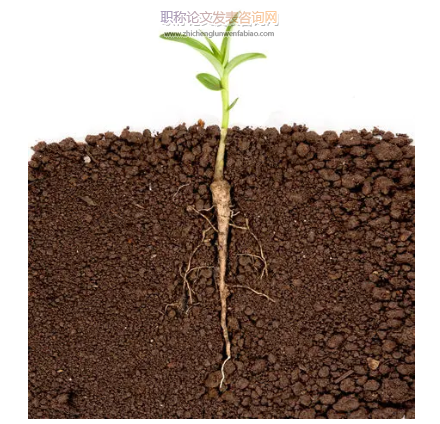 桂西北喀斯特森林植物-凋落物-土壤生態(tài)化學(xué)計量特征