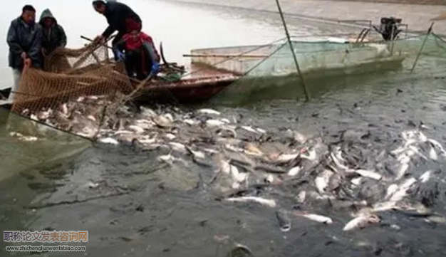 職教集團服務區域經濟的實踐探索——以威海水產養殖職教集團為例