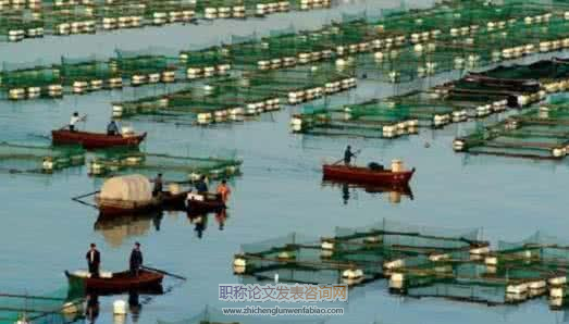 西泉眼水庫(kù)漁業(yè)調(diào)查報(bào)告
