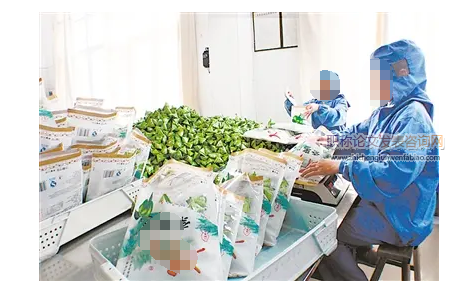 夏縣農業產業化與農產品加工體系現狀及對策