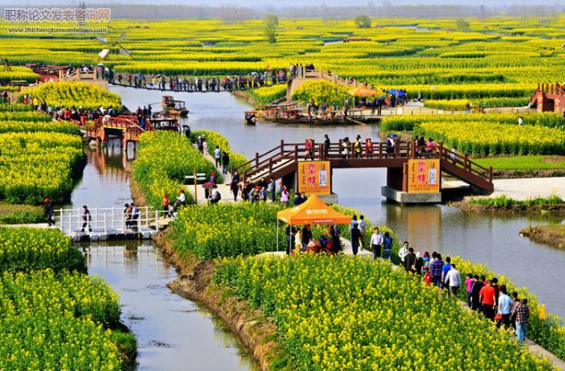 效率、公平、信任與滿意度：鄉村旅游合作社發展的路徑選擇