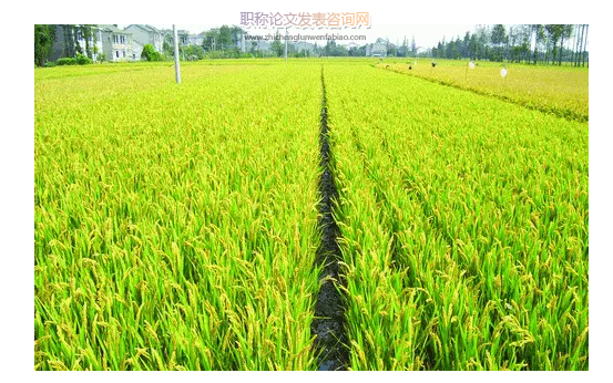 近50年基于農作物種植結構的新疆綠洲農田蒸散發時空變化分析