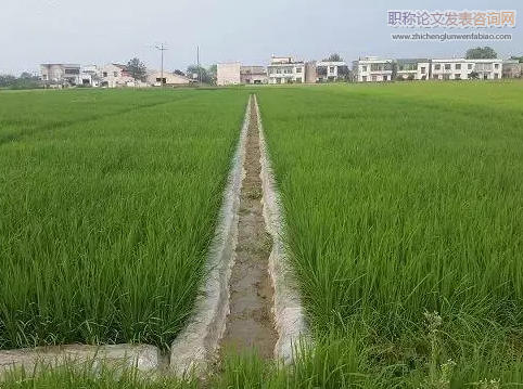 不同種植方式對綠洲農田土壤酶活性與微生物多樣性的影響
