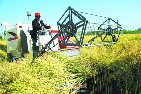 陜西省油菜生產機械化技術發展現狀調查及建議
