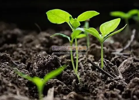 微集水種植對土壤水分蒸散和作物需水量的影響