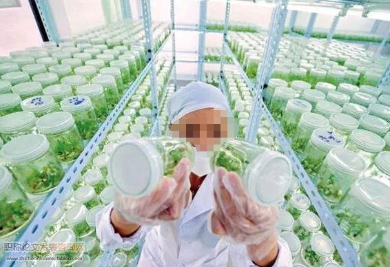 江省農業技術職稱名稱和專業范圍