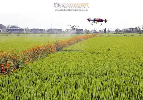 農作物科學種植與病蟲害防治技術分析