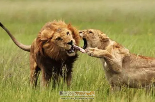 淺析非農業院校動物生理學實驗教學改革