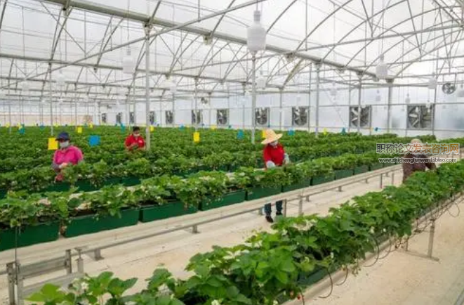 現代化技術在農業種植中的應用探析
