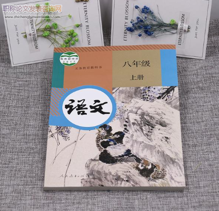 淺談怎樣提高初中語文課堂教學的有效性
