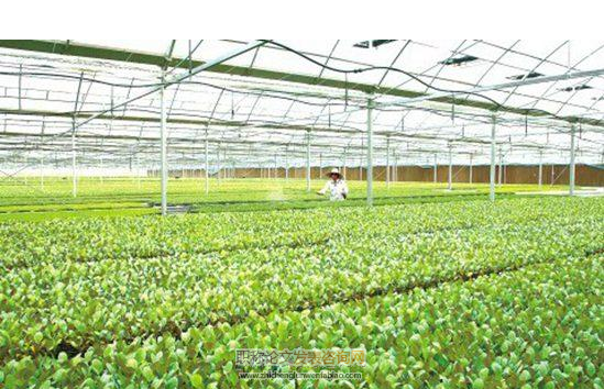 農業產業化龍頭企業信息化成熟度評價體系構建