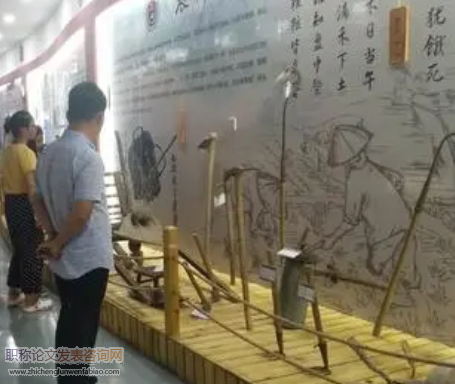 農(nóng)業(yè)院校大學(xué)生職業(yè)成熟度及專業(yè)差異