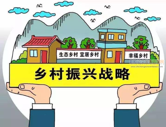 鄉村振興視野下農村小學教育路徑思考