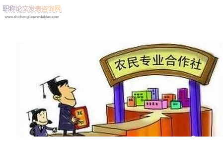 淺析農民專業合作社發展存在的問題思考