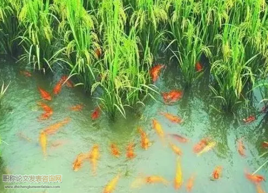 試論生態農業經濟的可持續發展策略