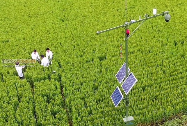 綠色農業種植技術推廣意義及對策